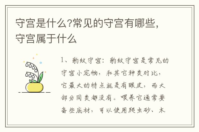 守宫是什么?常见的守宫有哪些，守宫属于什么