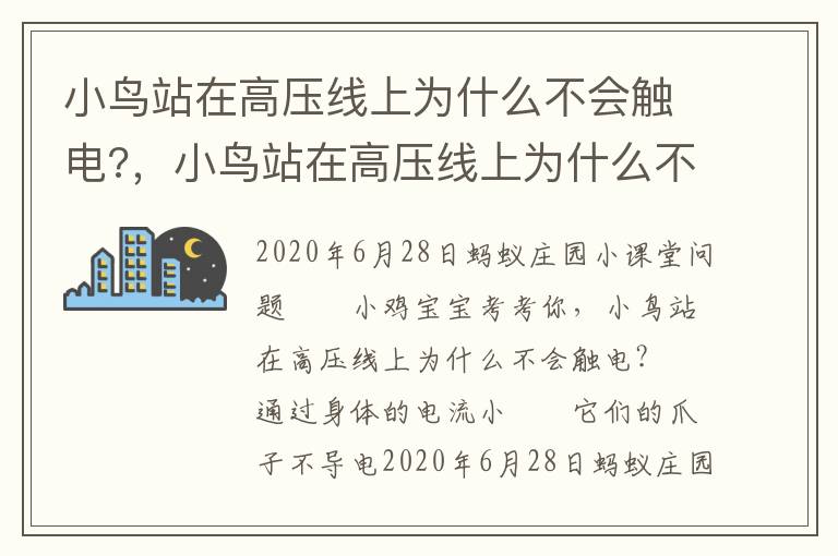 小鸟站在高压线上为什么不会触电?，小鸟站在高压线上为什么不会触电?知乎问答