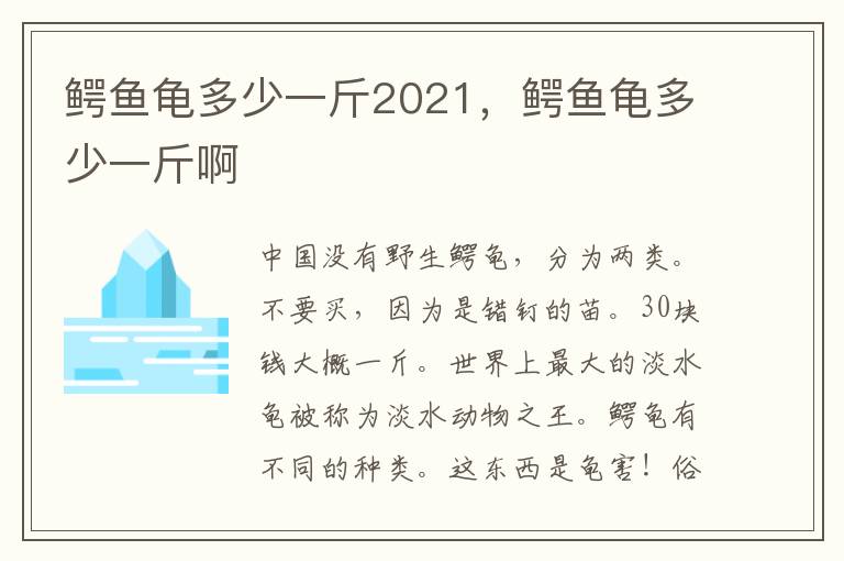 鳄鱼龟多少一斤2021，鳄鱼龟多少一斤啊