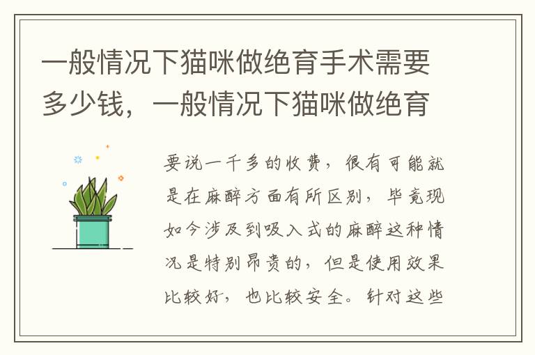 一般情况下猫咪做绝育手术需要多少钱，一般情况下猫咪做绝育手术需要多少钱呢