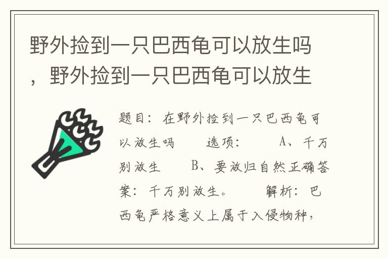 野外捡到一只巴西龟可以放生吗，野外捡到一只巴西龟可以放生吗视频