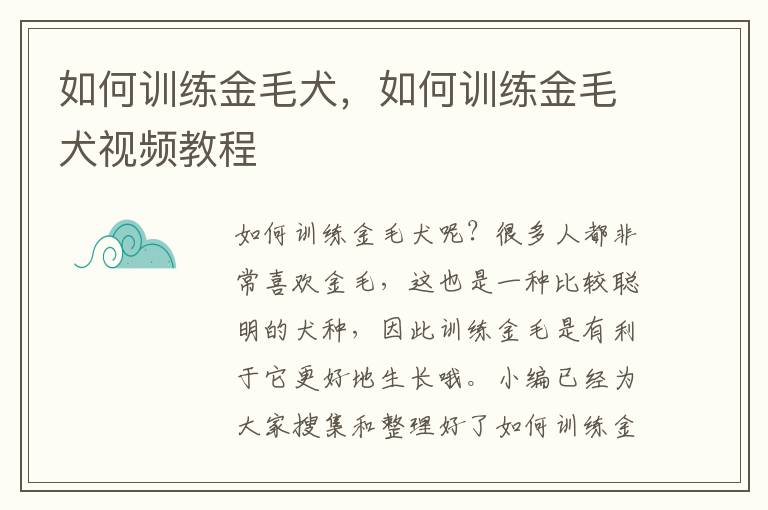 如何训练金毛犬，如何训练金毛犬视频教程