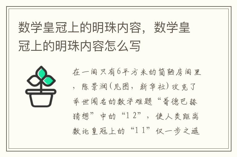 数学皇冠上的明珠内容，数学皇冠上的明珠内容怎么写