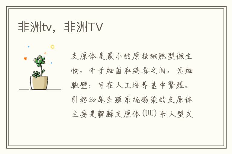 非洲tv，非洲TV