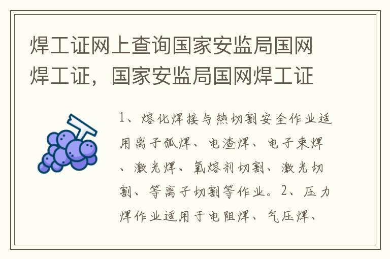 焊工证网上查询国家安监局国网焊工证，国家安监局国网焊工证查询网站