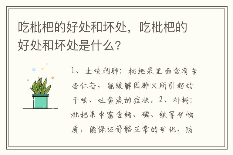 吃枇杷的好处和坏处，吃枇杷的好处和坏处是什么?