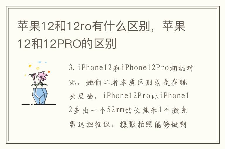 苹果12和12ro有什么区别，苹果12和12PRO的区别