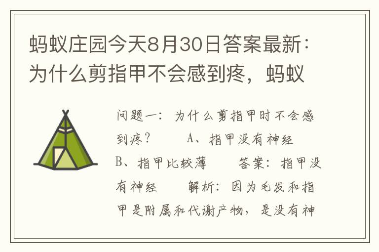 蚂蚁庄园今天8月30日答案最新：为什么剪指甲不会感到疼，蚂蚁庄园今日答案 指甲