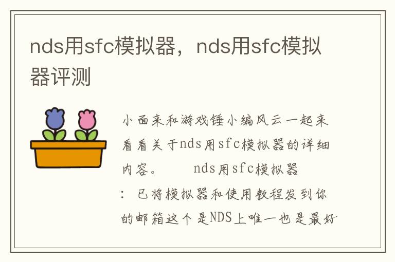 nds用sfc模拟器，nds用sfc模拟器评测