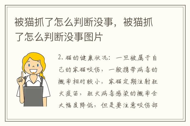 被猫抓了怎么判断没事，被猫抓了怎么判断没事图片